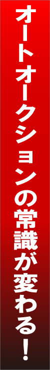 �I�[�g�I�[�N�V����