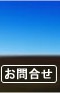 ���ÎԃJ�[�I�[�N�V�����@�I�[�g�E�F�[�u�D�����C�u���B���₢���킹